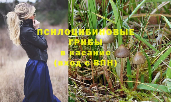 мескалин Аркадак