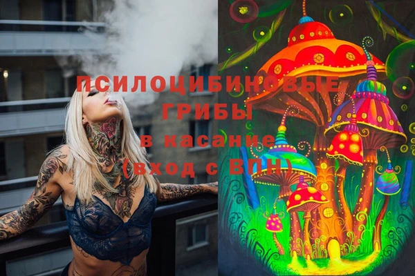 spice Арсеньев