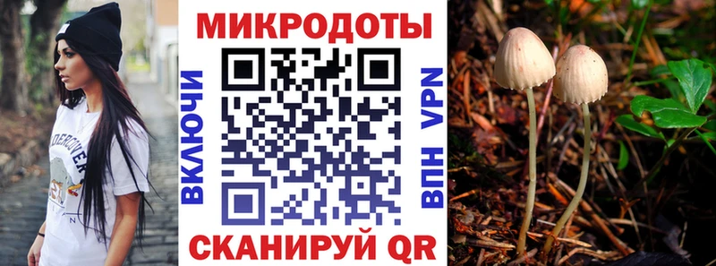 сайты даркнета телеграм  закладка  Полысаево  Псилоцибиновые грибы MAGIC MUSHROOMS 